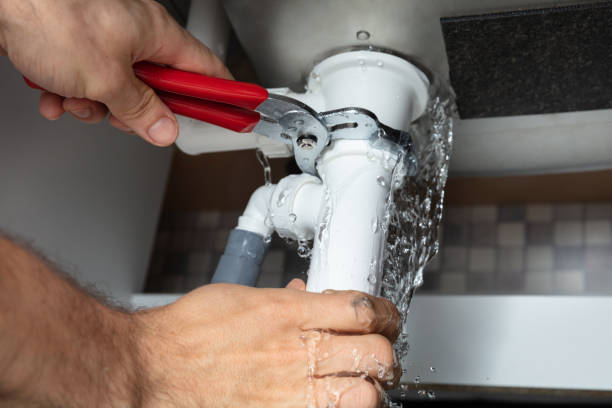 Best Water damage cleanup near me  in Delmont, PA