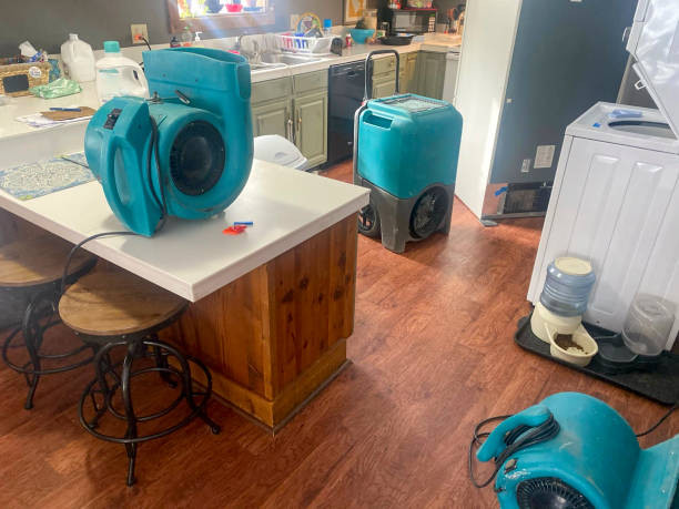  Delmont, PA Water damage restoration Pros