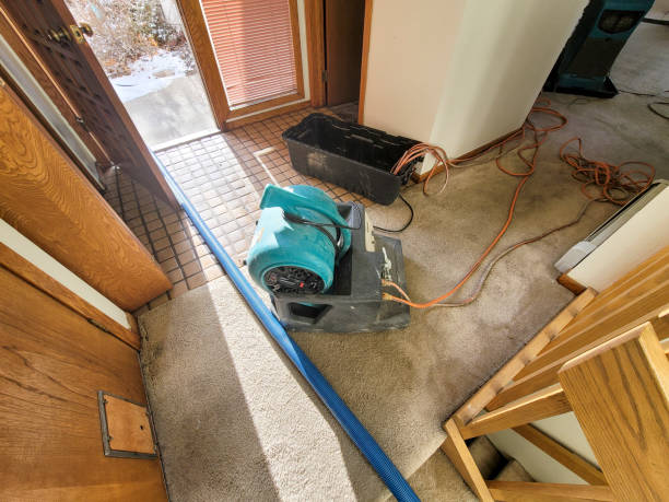 Best Water damage restoration specialists  in Delmont, PA