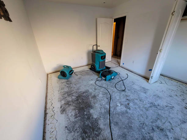 Best 24-hour water damage restoration  in Delmont, PA
