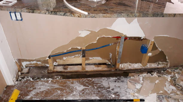 Best Local water damage restoration  in Delmont, PA