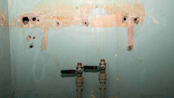 Best Local water damage restoration  in Delmont, PA