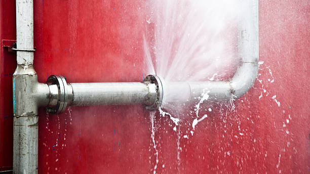 Best Professional water damage repair  in Delmont, PA